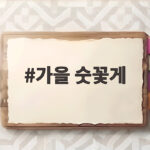가을 숫꽃게 제철 맛과 손질법 그리고 찌는법 총정리 가을 숫꽃게