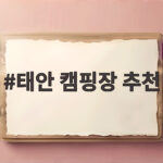 태안 캠핑장 추천