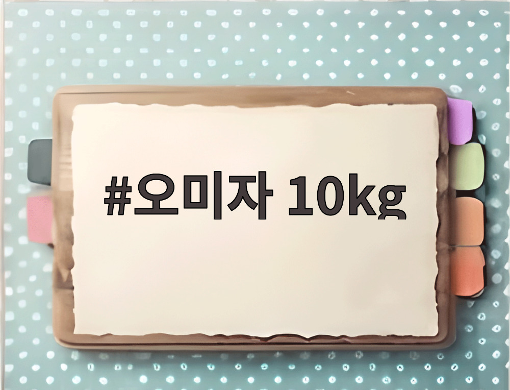 오미자 10kg