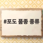 포도 품종 종류