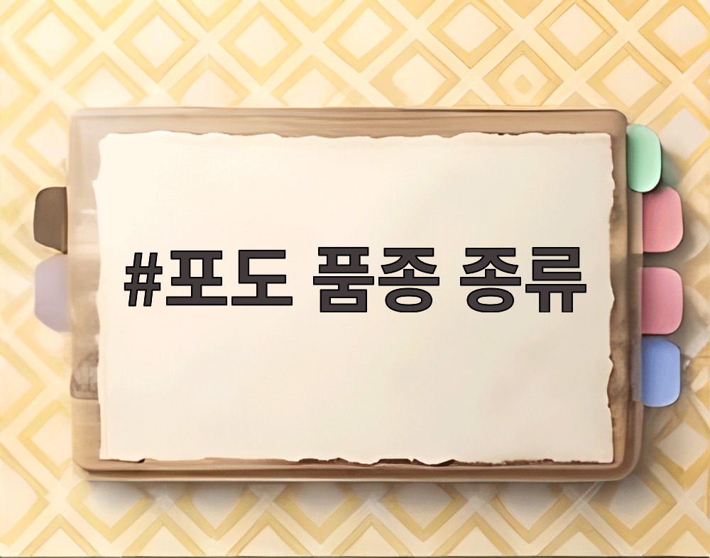 포도 품종 종류