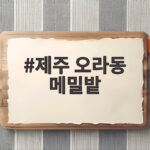 제주 오라동 메밀밭