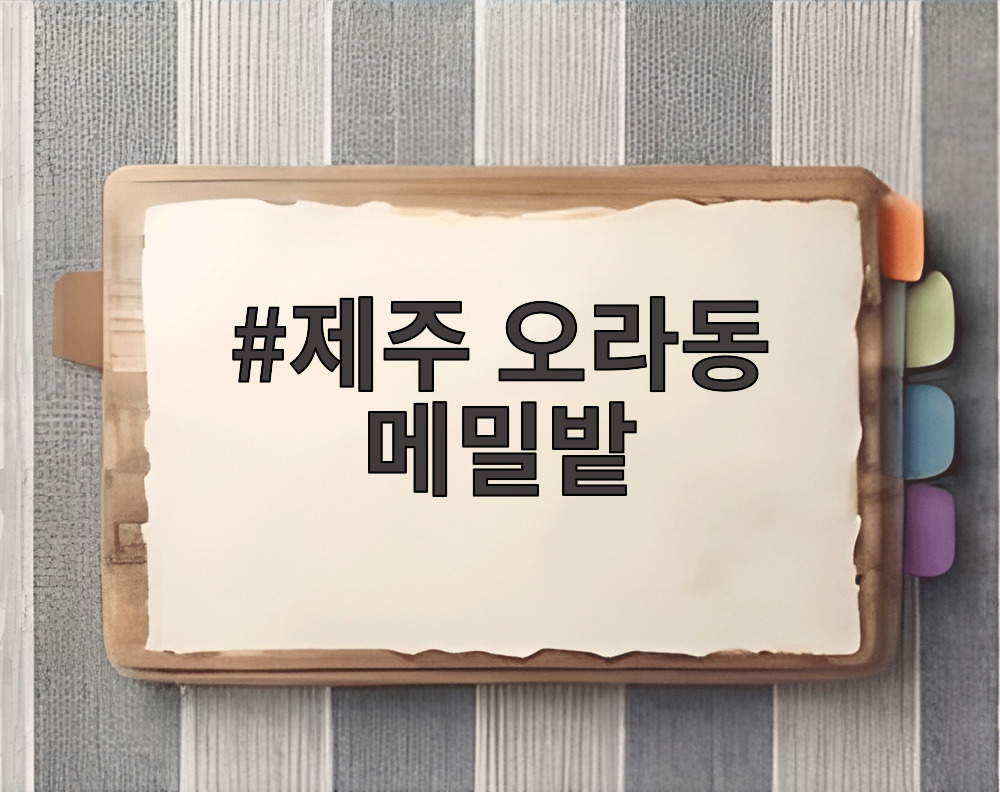 제주 오라동 메밀밭