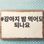 강아지 밤 먹어도 되나요