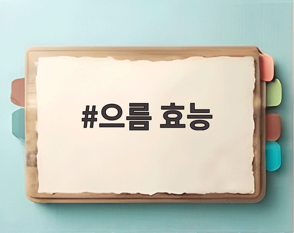 으름 효능