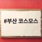부산 코스모스
