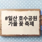 일산 호수공원 가을 꽃 축제