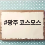 광주 코스모스