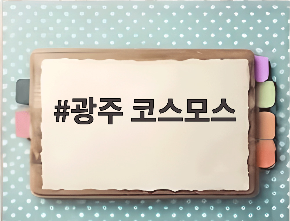 광주 코스모스