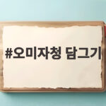 오미자청 담그기, 올해 놓치면 내년을 기약해야 하는 이유 오미자청 담그기