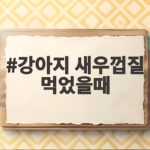 강아지 새우껍질 먹었을때 껍질 삼켰다면 지금 이렇게 확인하세요 강아지 새우껍질 먹었을때