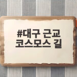 대구 근교 코스모스 길