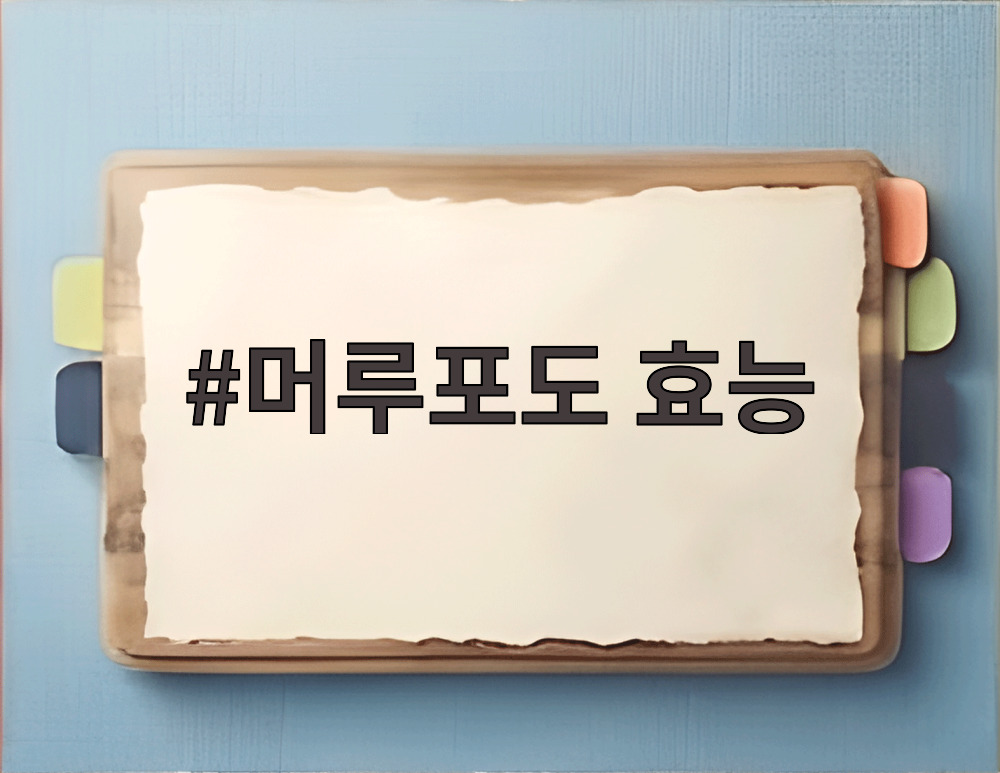 머루포도 효능