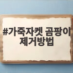 가죽자켓 곰팡이 제거방법