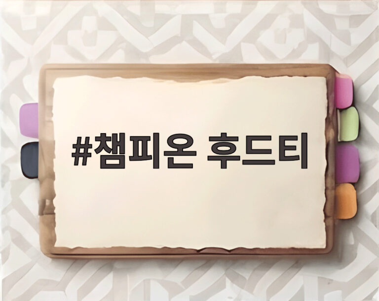 챔피온 후드티