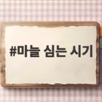 마늘 심는 시기