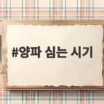 양파 심는 시기, 지역별 최적 시기와 모종 고르는 법 양파 심는 시기
