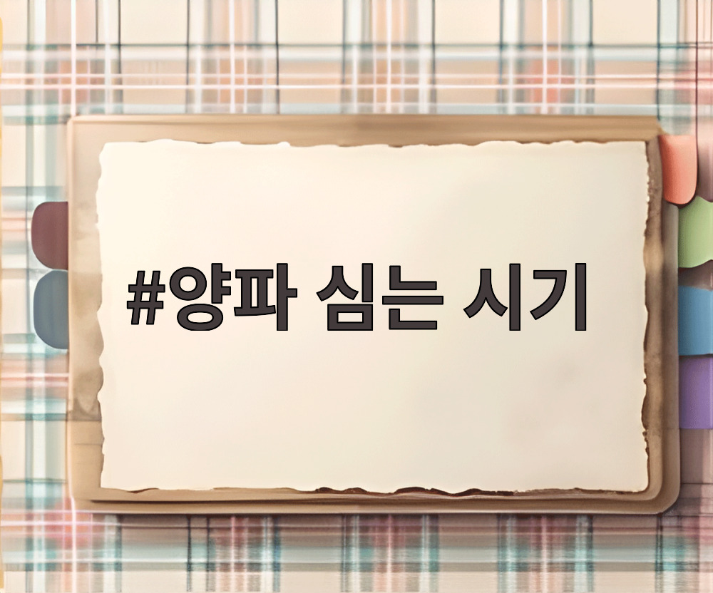 양파 심는 시기