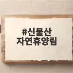 신불산 자연휴양림