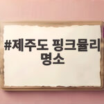 제주도 핑크뮬리 명소