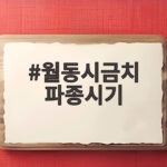 월동시금치 파종시기 이렇게 심으면 겨울 내내 든든합니다 월동시금치 파종시기