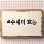 수세미 효능