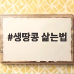 생땅콩 삶는법