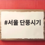 서울 단풍시기