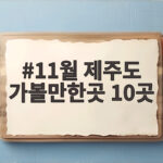 11월 제주도 가볼만한곳 10곳 억새와 단풍을 한 번에 추천합니다 11월 제주도 가볼만한곳 10곳