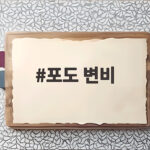 포도 변비에 좋은 이유와 주의사항 제가 겪은 이야기 포도 변비
