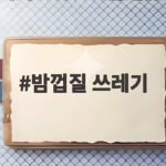 밤껍질 쓰레기