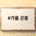 가을 곤충