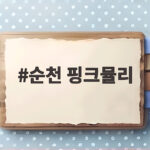 순천 핑크뮬리 절정 시기 놓치면 아쉬운 가을꽃 여행 순천 핑크뮬리