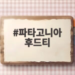 파타고니아 후드티