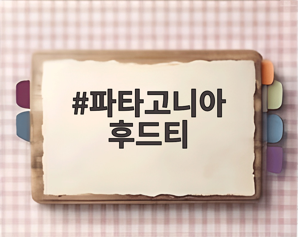 파타고니아 후드티