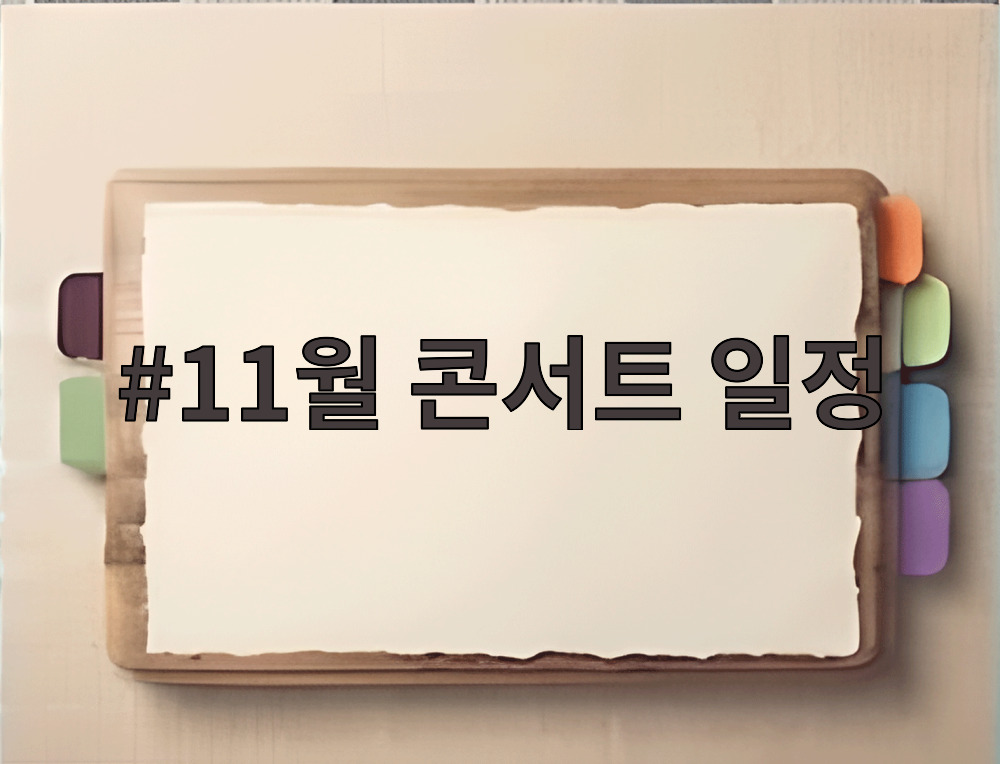 11월 콘서트 일정