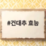 건대추 효능