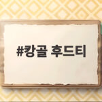 캉골 후드티