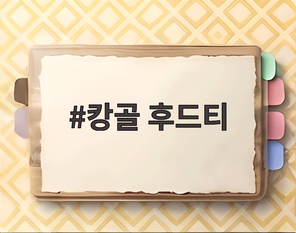 캉골 후드티