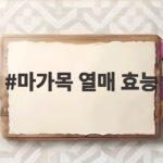 마가목 열매 효능 가을에 먹어야 하는 이유와 안전한 섭취 방법 마가목 열매 효능