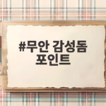 무안 감성돔 포인트