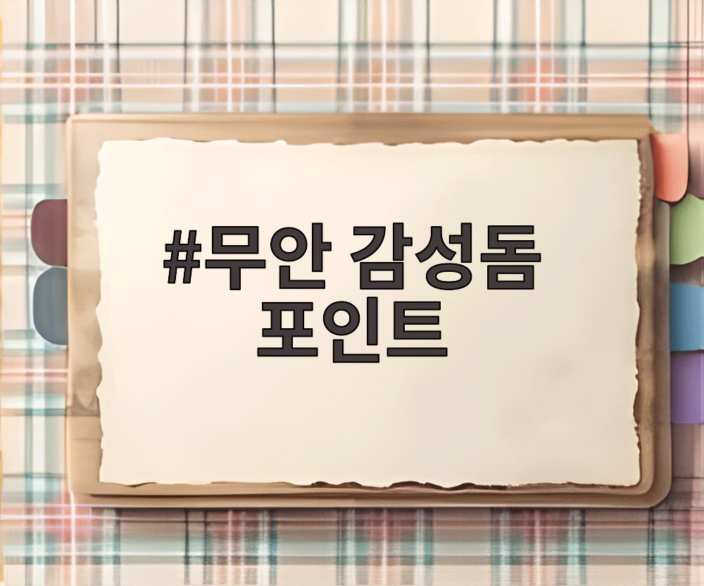 무안 감성돔 포인트