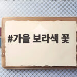 가을 보라색 꽃