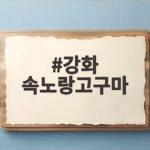 강화 속노랑고구마 포슬포슬한 식감과 달콤함 제대로 즐기는 방법 강화 속노랑고구마