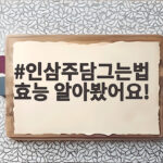 인삼주담그는법 효능 알아봤어요!