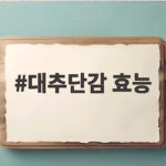 대추단감 효능