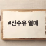 산수유 열매 제철에 챙겨야 하는 이유와 맛있게 먹는 법 산수유 열매