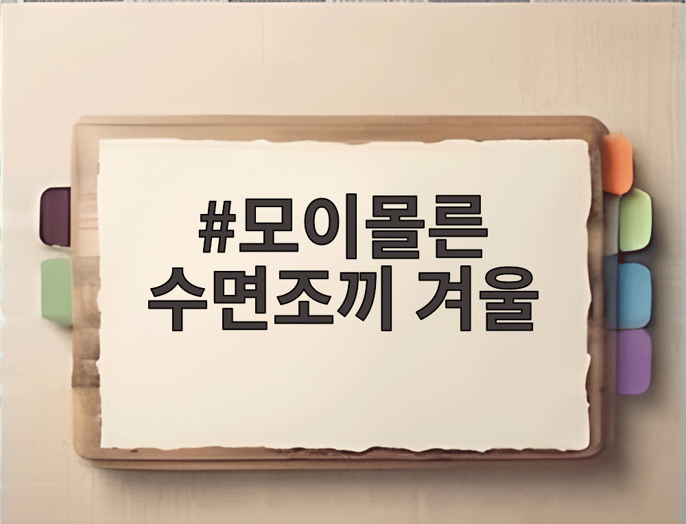 모이몰른 수면조끼 겨울