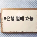 은행 열매 효능