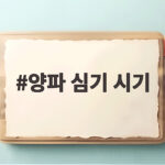 양파 심기 시기 언제가 좋을까 텃밭 초보를 위한 완벽 정리 양파 심기 시기